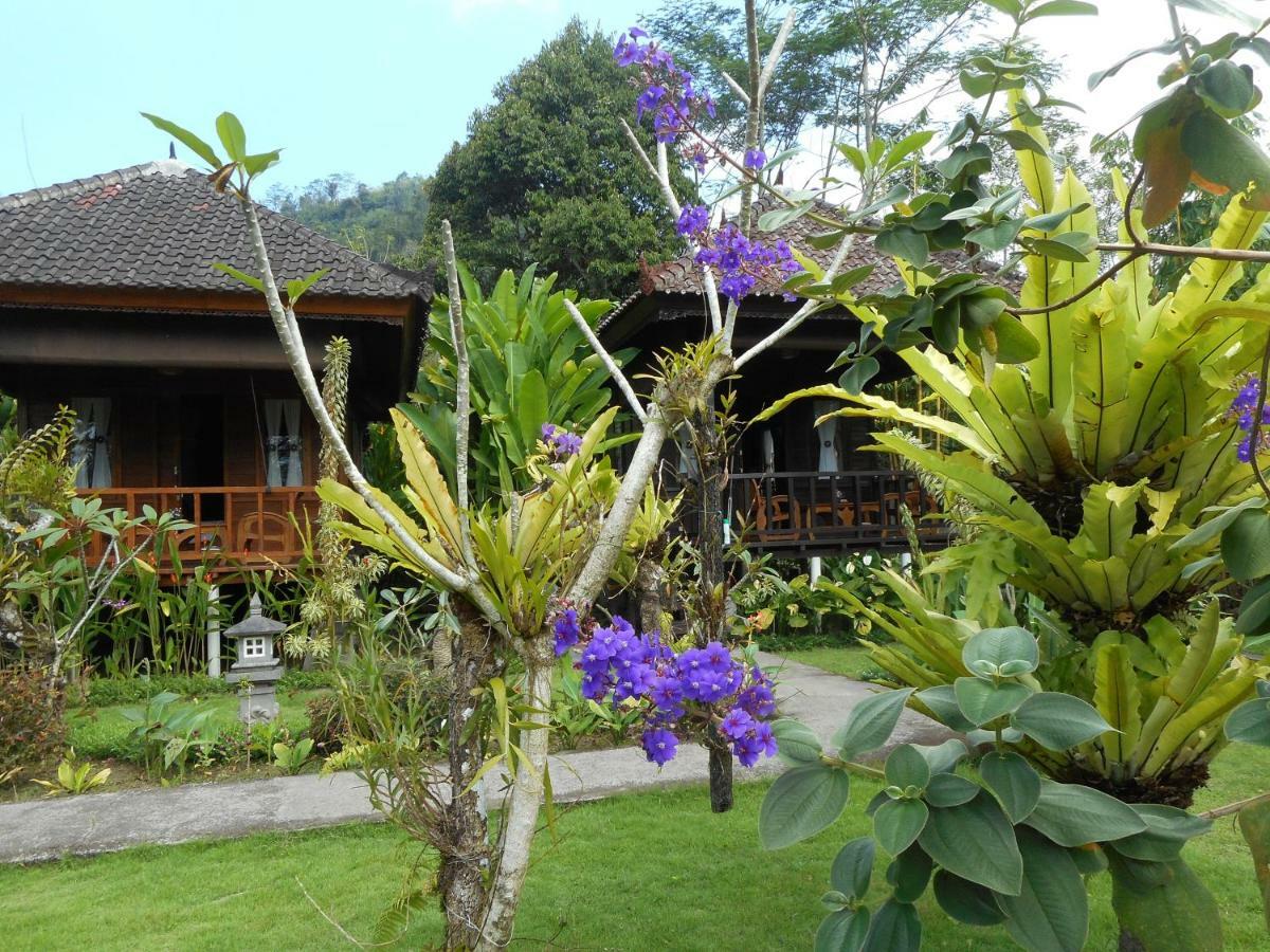 Kubu Alas Tunggal Villa Sidemen  Exterior photo